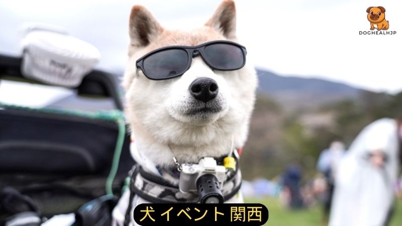 犬 イベント 関西