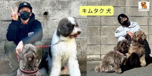 キムタク 犬