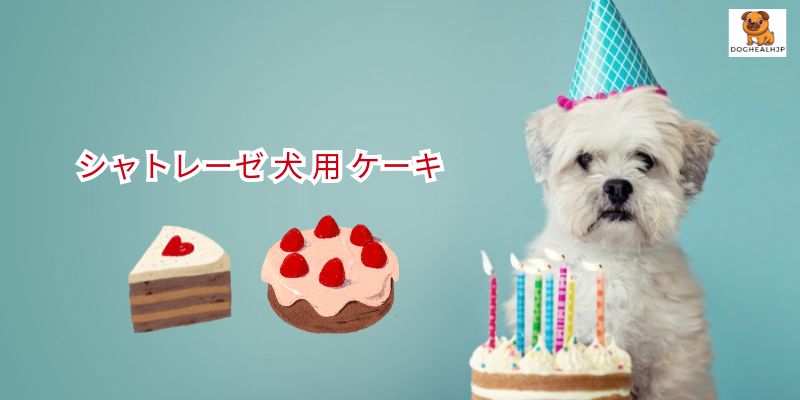 シャトレーゼ 犬 用 ケーキ