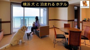 横浜 犬 と 泊まれる ホテル