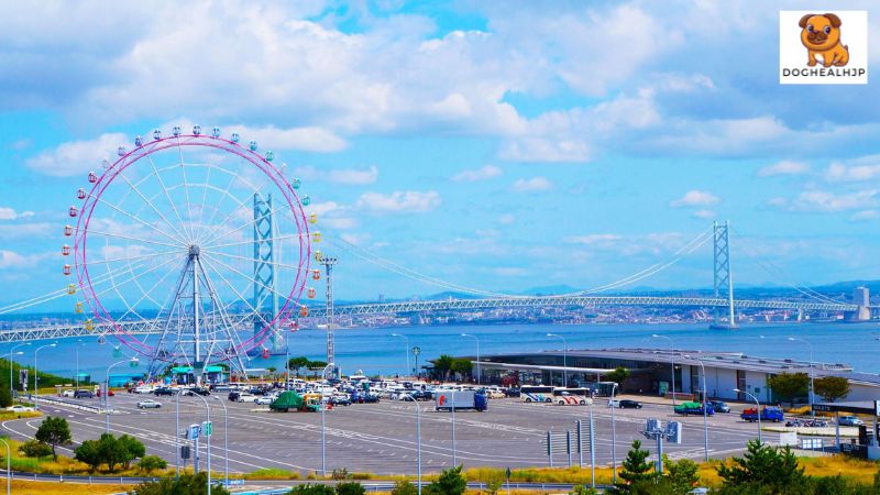 淡路島 犬: 観光スポット