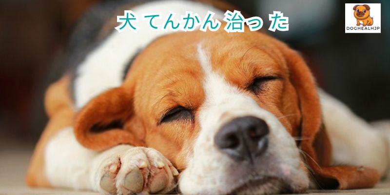 犬 てんかん 治っ た