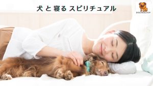 犬 と 寝る スピリチュアル