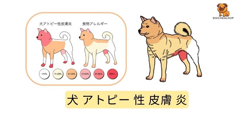 犬 アトピー 性 皮膚 炎