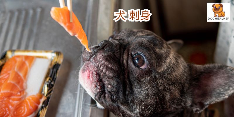 犬 刺身