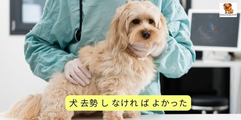 犬 去勢 し なけれ ば よかった