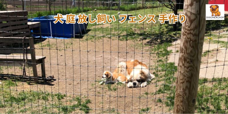 犬 庭 放し飼い フェンス 手作り