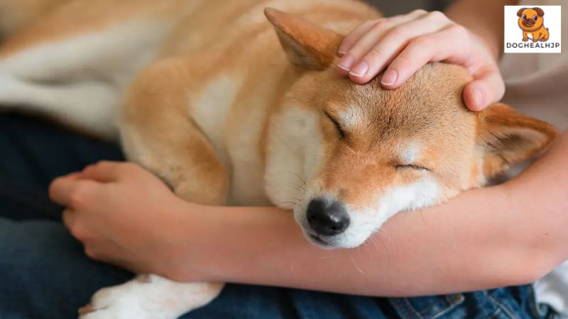 なぜ腎不全や病気が起こるのでしょうか？