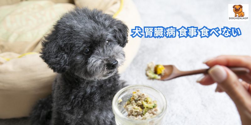 犬 腎臓 病 食事 食べ ない