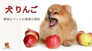 犬 りんご: 果物とペットの健康の関係