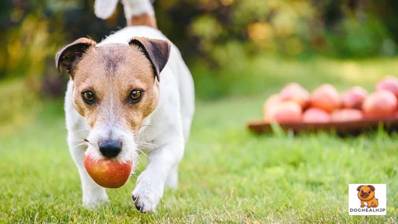 犬 りんごを食べてもいいのでしょうか？