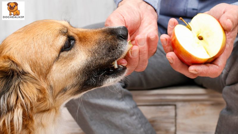 犬がリンゴを食べることのメリット