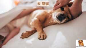 犬 痙攣