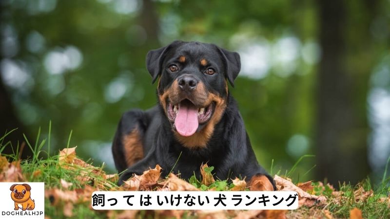 飼っ て は いけない 犬 ランキング 