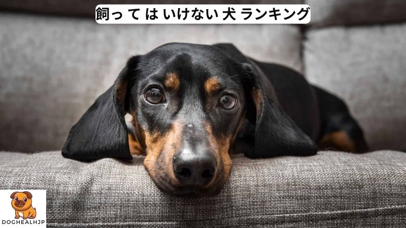 飼っ て は いけない 犬 ランキング 