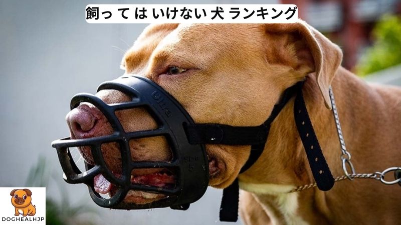 飼っ て は いけない 犬 ランキング 